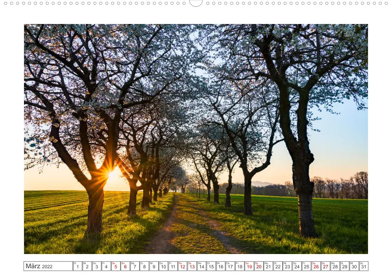 Natur im Licht - Sonnige Augenblicke