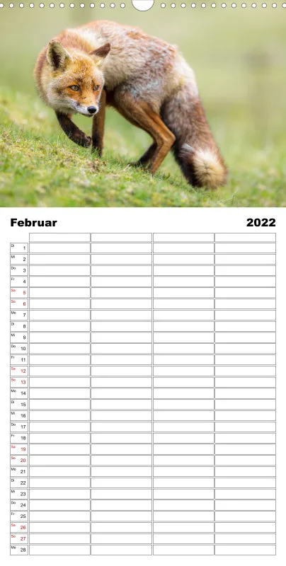 Natur im Licht - Tierische Begegnungen