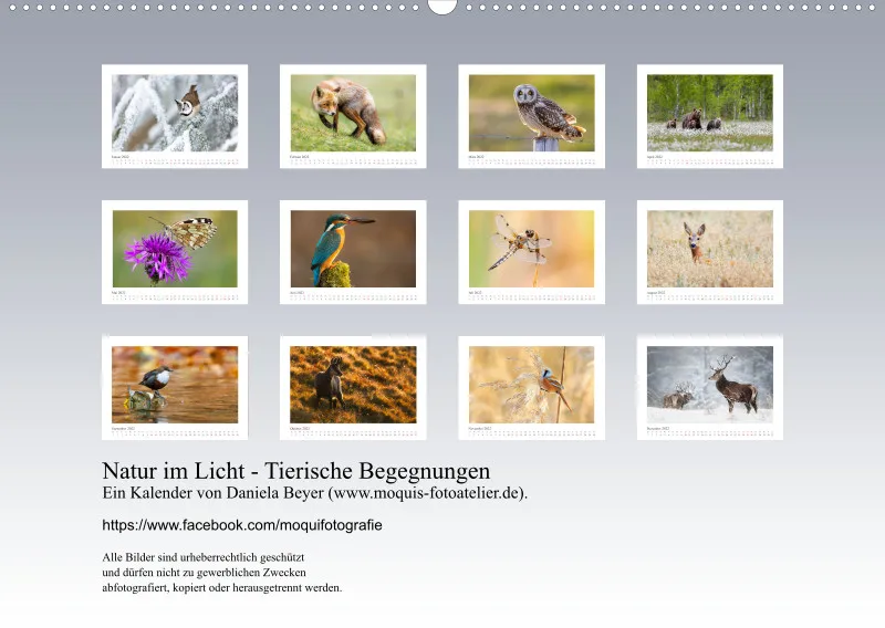 Natur im Licht - Tierische Begegnungen
