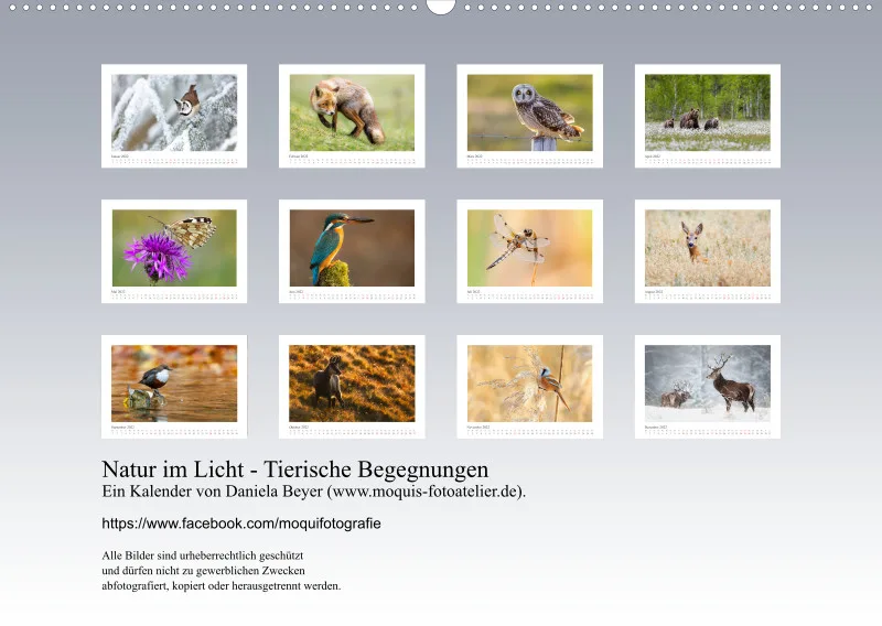 Natur im Licht - Tierische Begegnungen