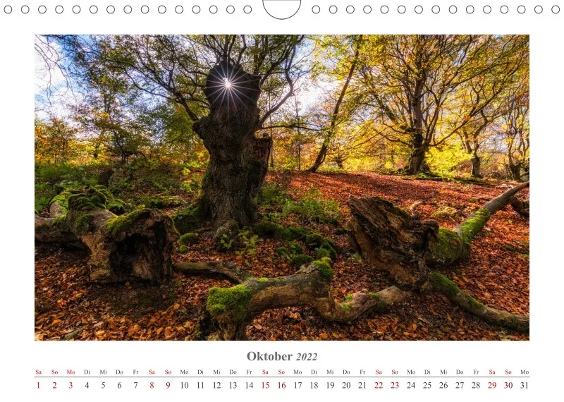 Natur im Licht - Sonnige Augenblicke