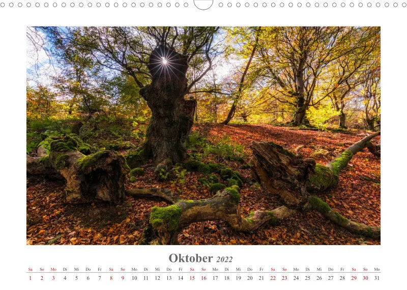 Natur im Licht - Sonnige Augenblicke