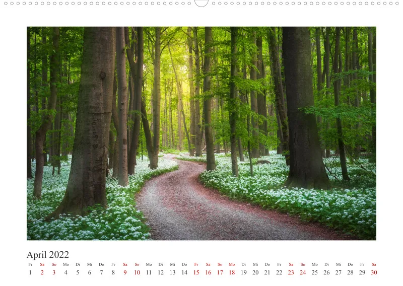 Natur im Licht - Stille Momente