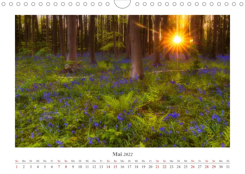 Natur im Licht - Sonnige Augenblicke