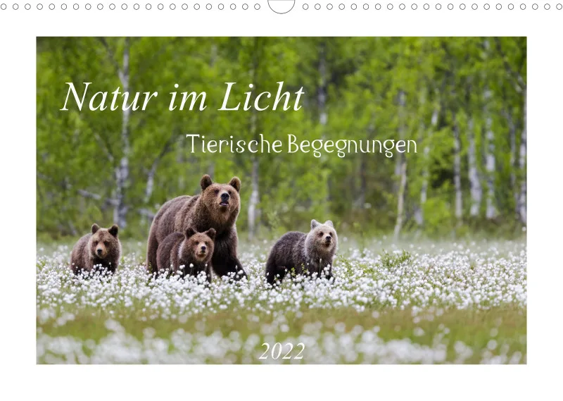 Natur im Licht - Tierische Begegnungen