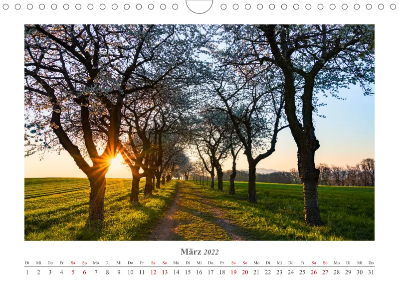 Natur im Licht - Sonnige Augenblicke