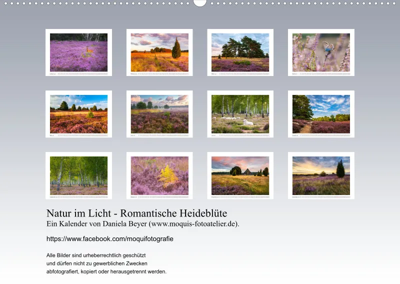 Natur im Licht - Romantische Heideblüte