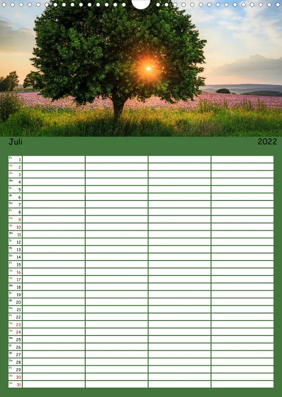 Natur im Licht - Sonnige Augenblicke