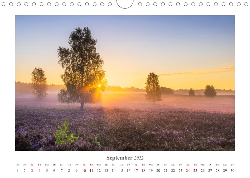 Natur im Licht - Sonnige Augenblicke