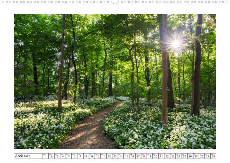 Natur im Licht - Sonnige Augenblicke