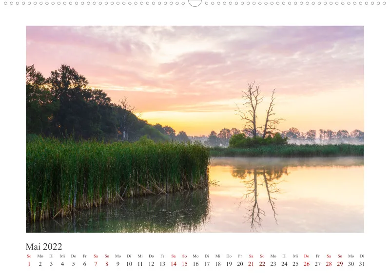 Natur im Licht - Stille Momente