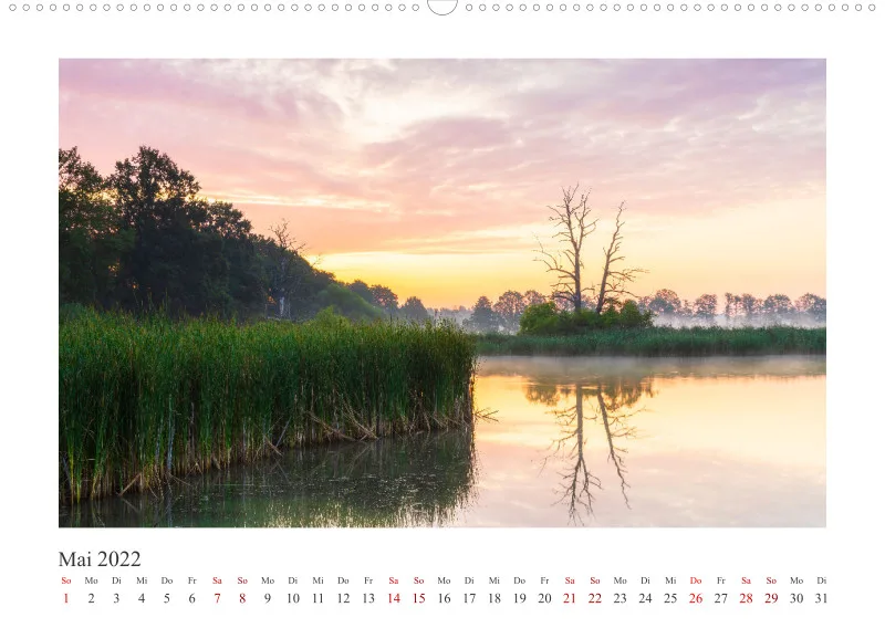 Natur im Licht - Stille Momente
