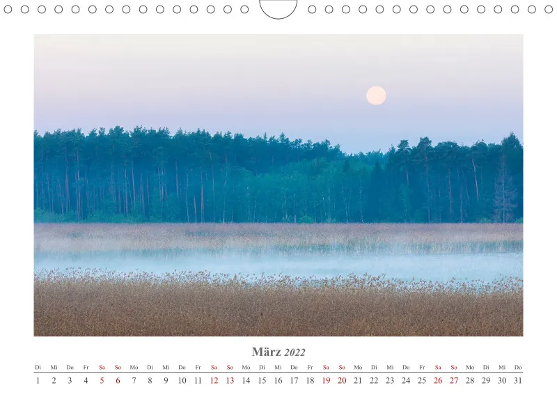 Natur im Licht - Stille Momente