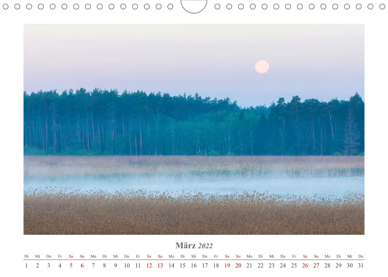 Natur im Licht - Stille Momente