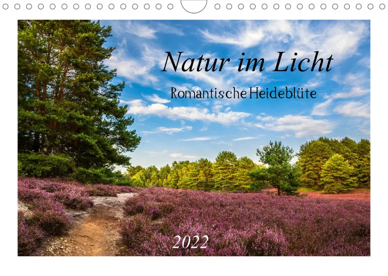 Natur im Licht - Romantische Heideblüte
