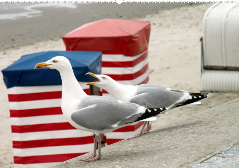 Borkum