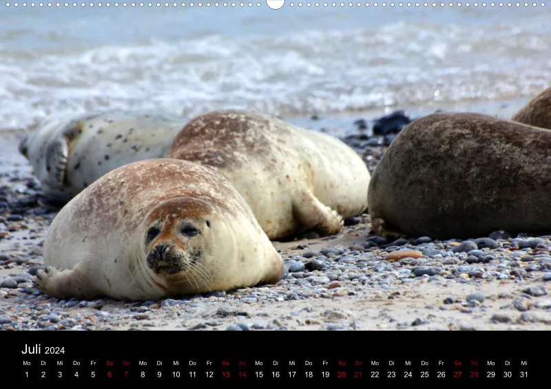 Helgoland