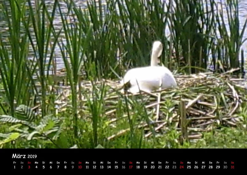 Fotokalender / Nr. 38