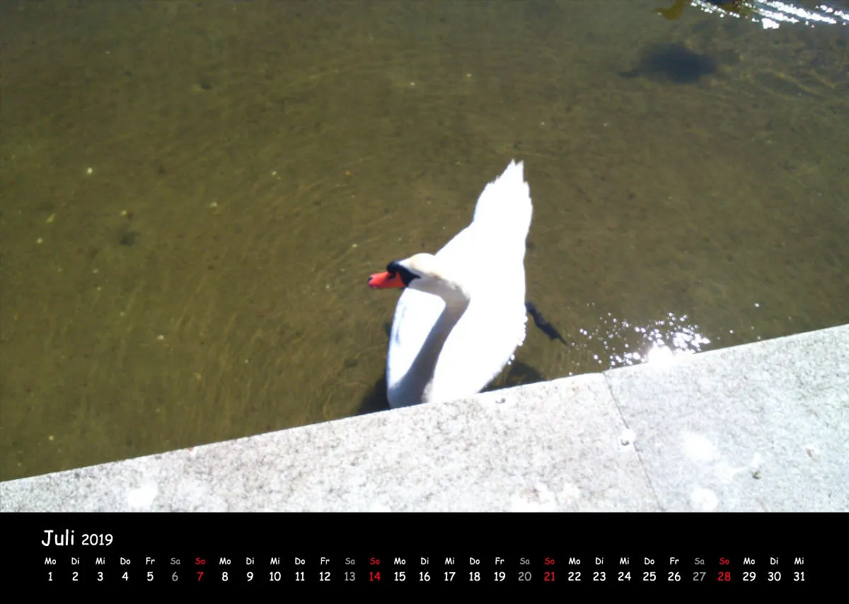 Fotokalender / Nr. 38