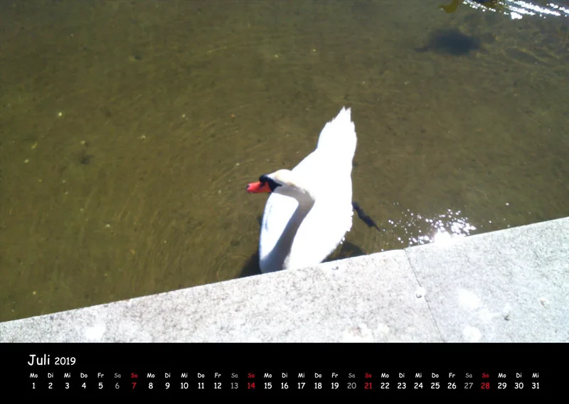 Fotokalender / Nr. 38