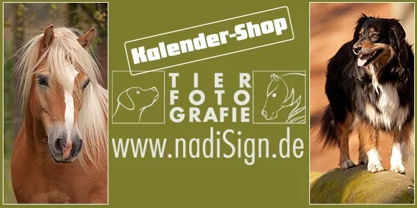 nadisign