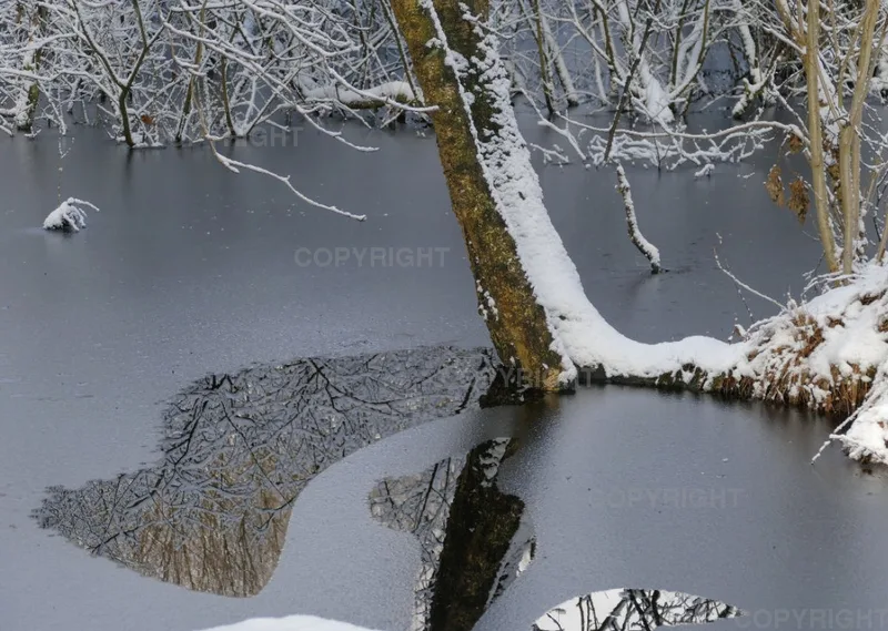 Bildkalender Naturfotografie / Nr. 38