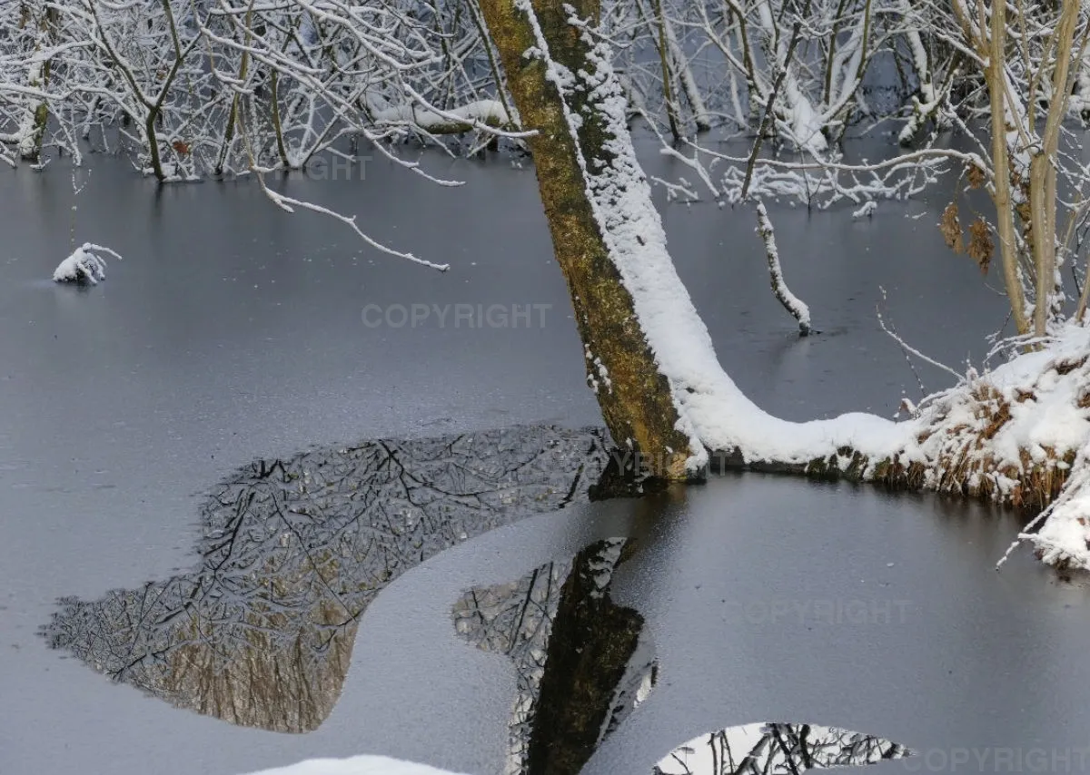 Bildkalender Naturfotografie / Nr. 38