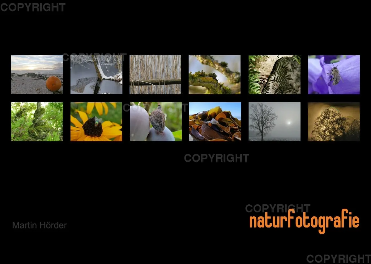 Bildkalender Naturfotografie / Nr. 38