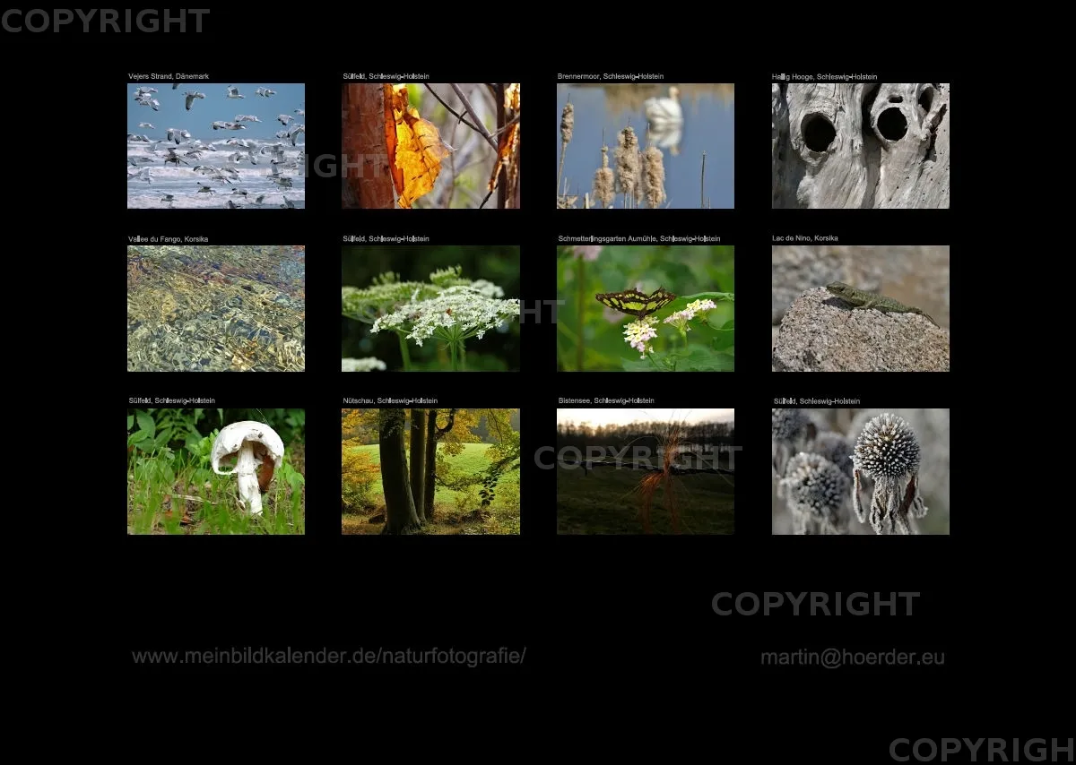 Bildkalender Naturfotografie / Nr. 27