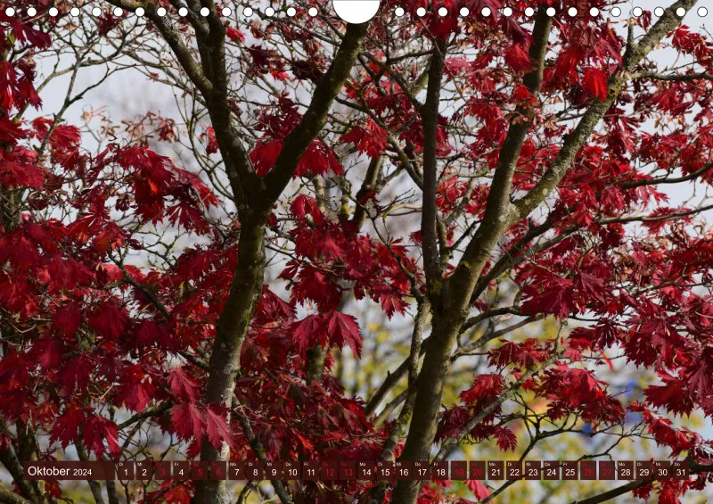 Fotokalender /