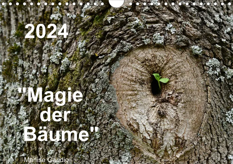 Fotokalender / Bäume