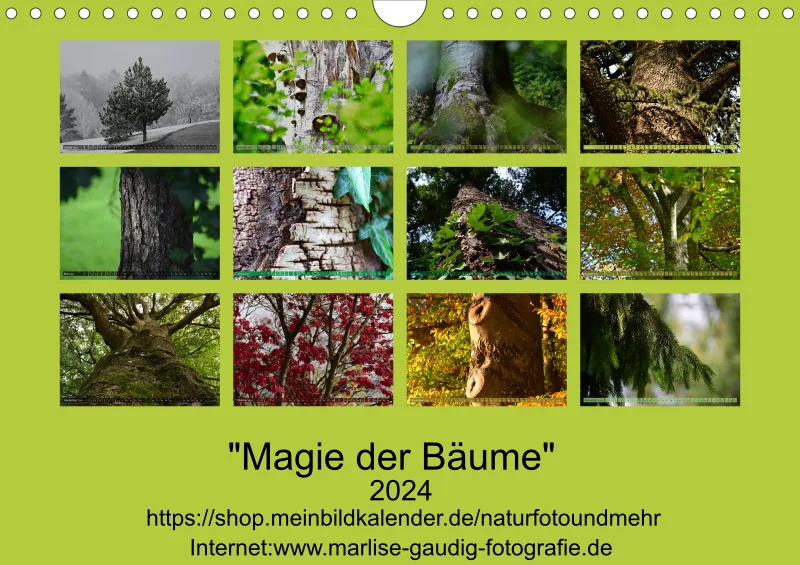 Fotokalender / Bäume