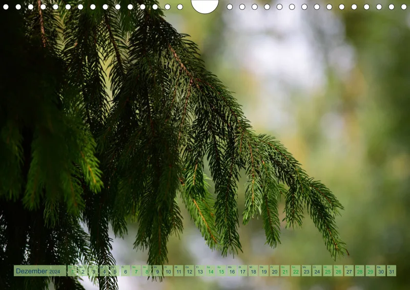 Fotokalender /