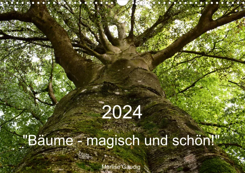 Bäume - magisch und schön
