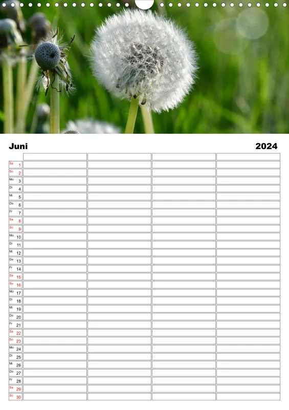 Familienplaner Natur - Zeit für die schöne Natur!