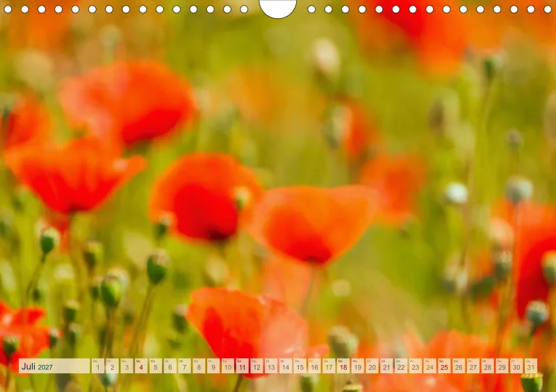 Natur wird Kunst- Kalender 2027