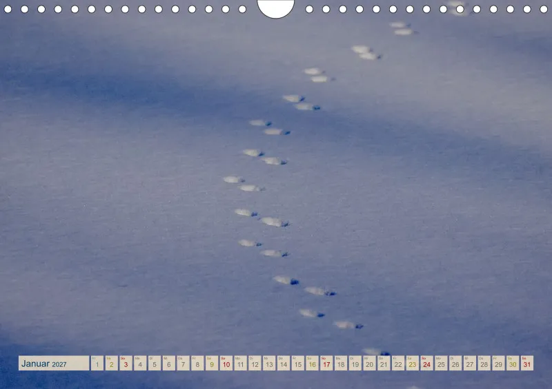 Natur wird Kunst- Kalender 2027