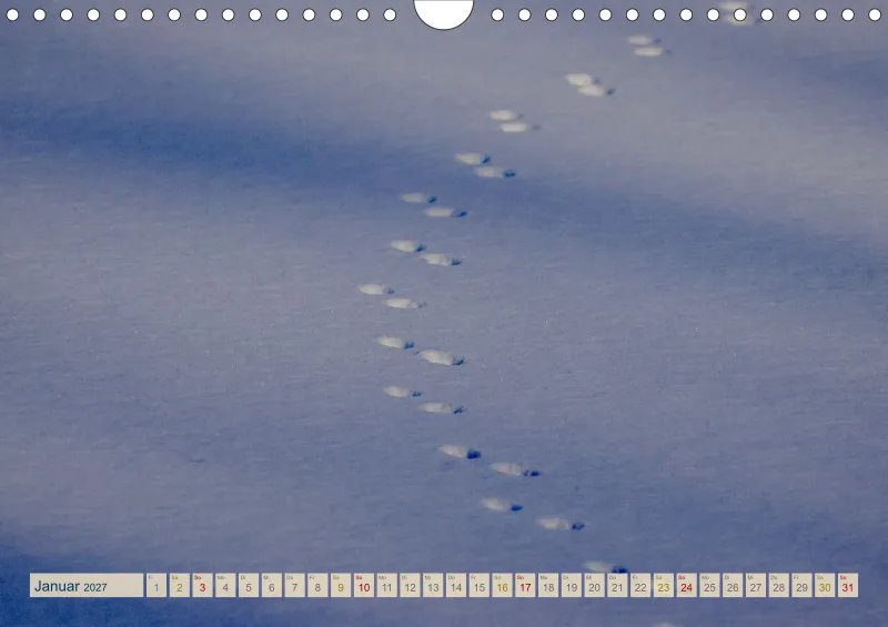 Natur wird Kunst- Kalender 2027