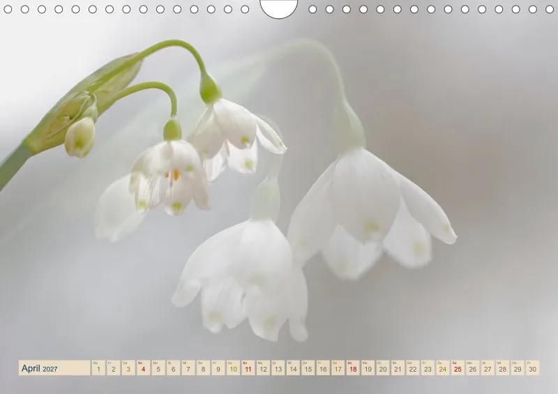 Natur wird Kunst- Kalender 2027
