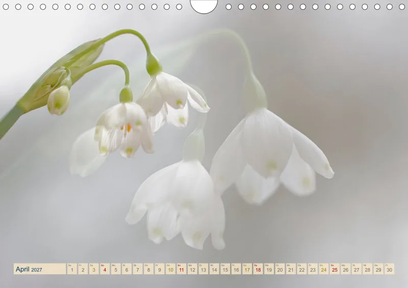 Natur wird Kunst- Kalender 2027