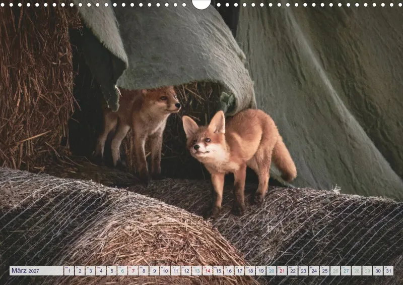Naturkalender 2027