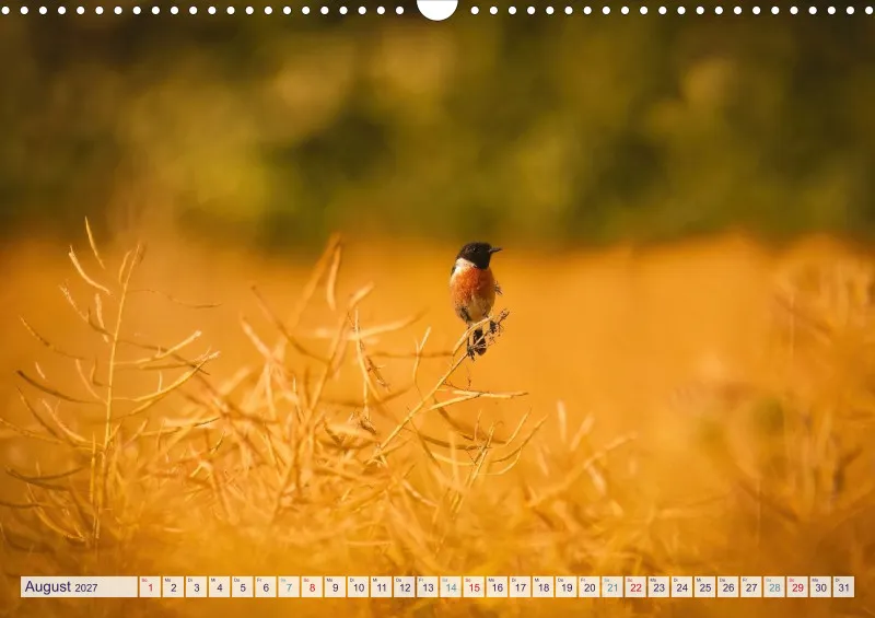 Naturkalender 2027