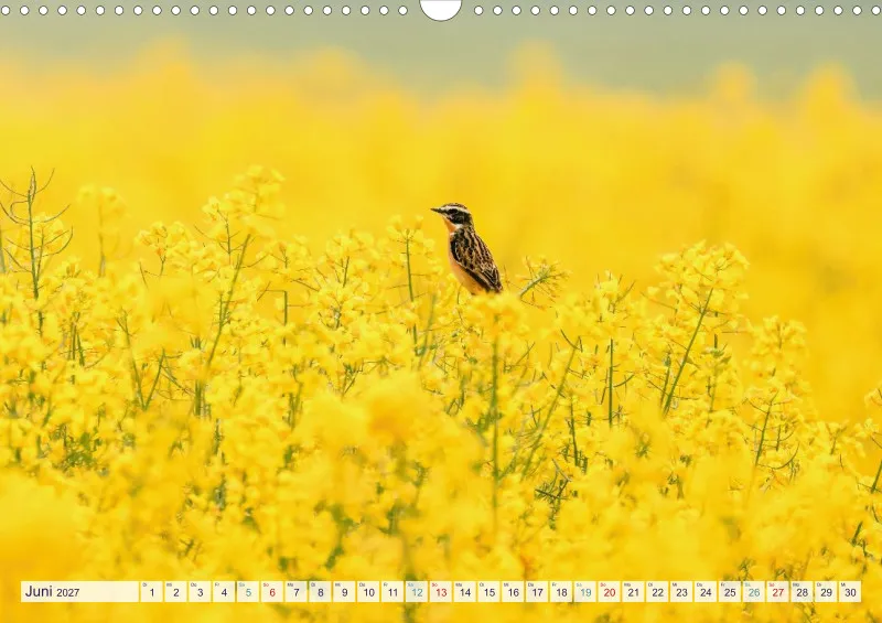 Naturkalender 2027
