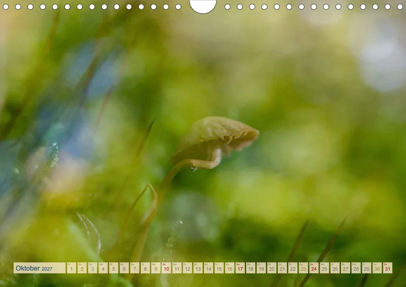 Natur wird Kunst- Kalender 2027