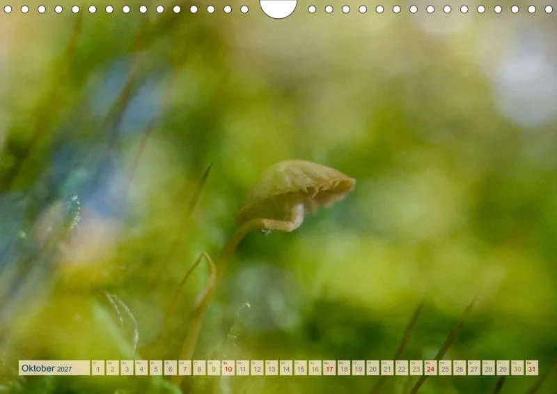 Natur wird Kunst- Kalender 2027