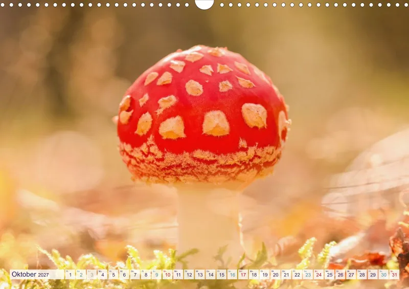 Naturkalender 2027