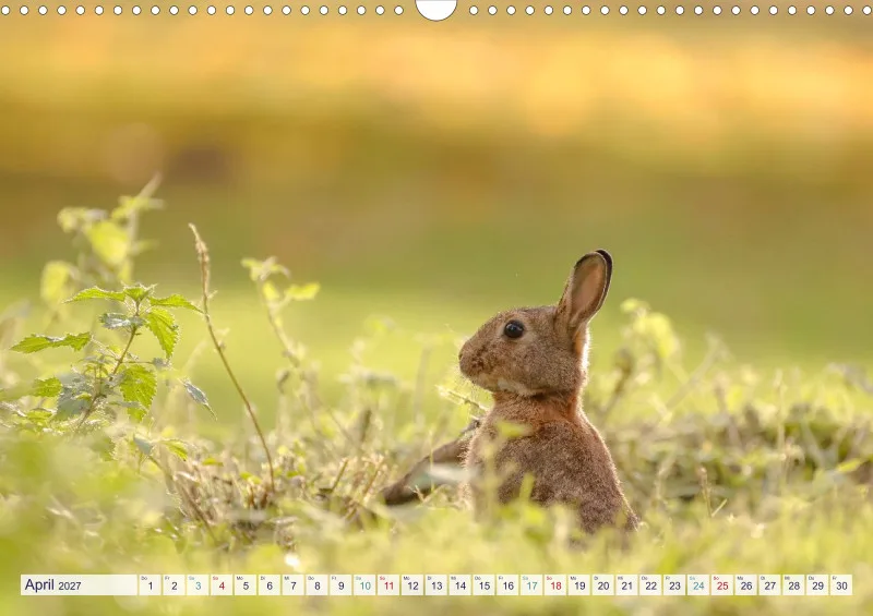 Naturkalender 2027