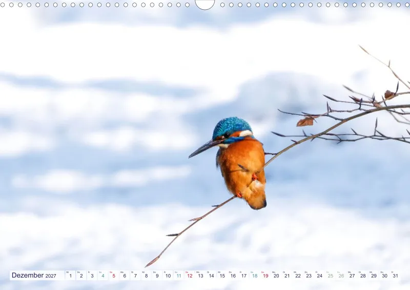 Naturkalender 2027