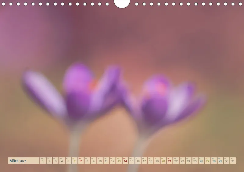 Natur wird Kunst- Kalender 2027