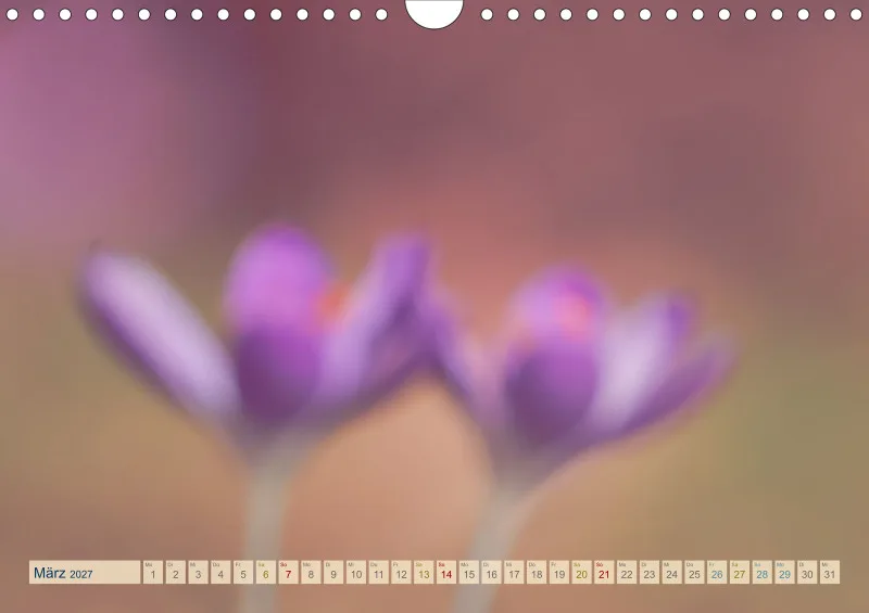 Natur wird Kunst- Kalender 2027